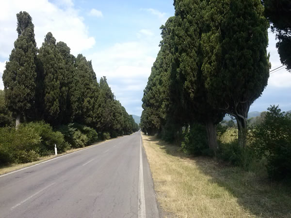 Andare incontro alla persona