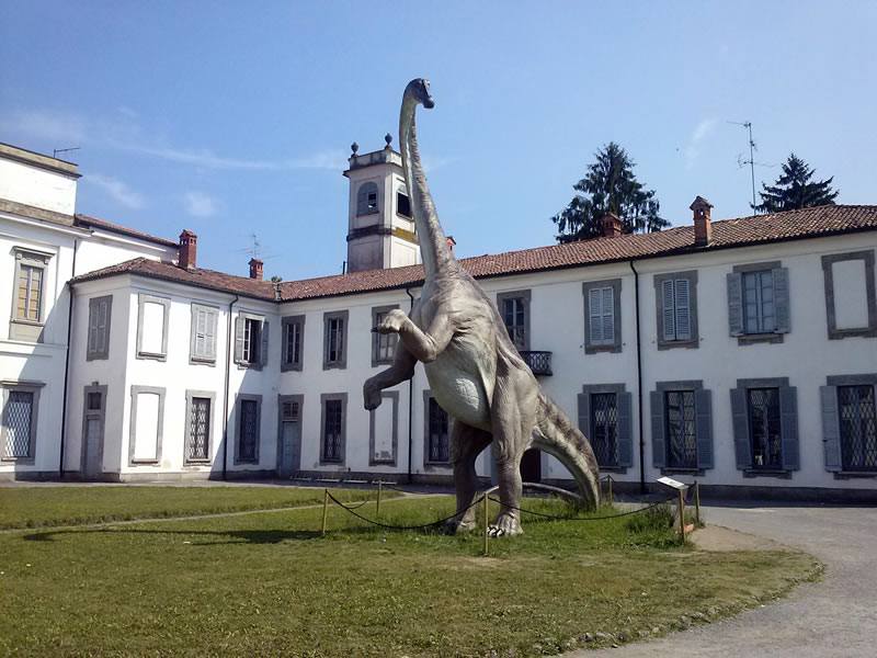 Diplodocus longus