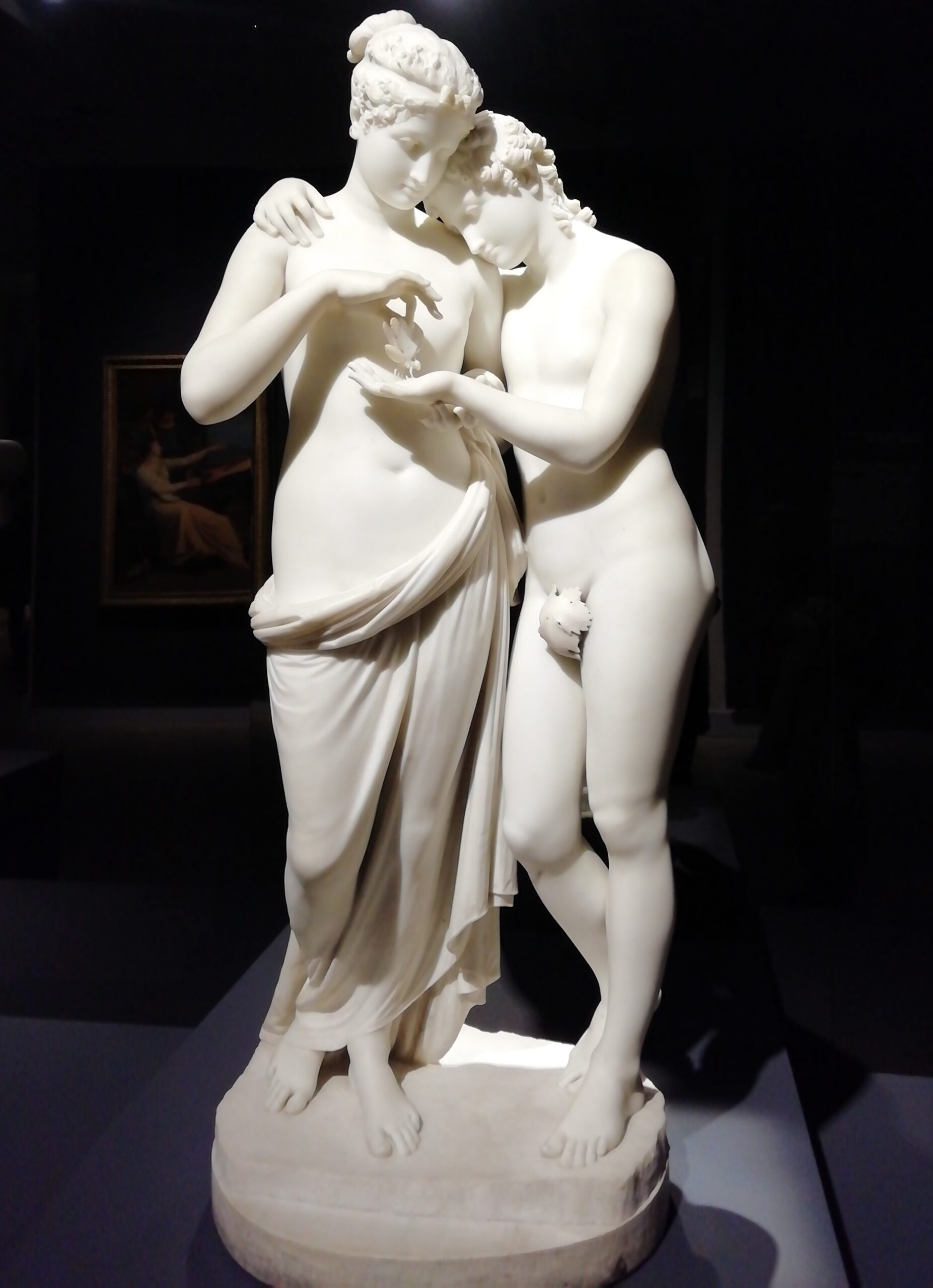 Il comportamento intimo