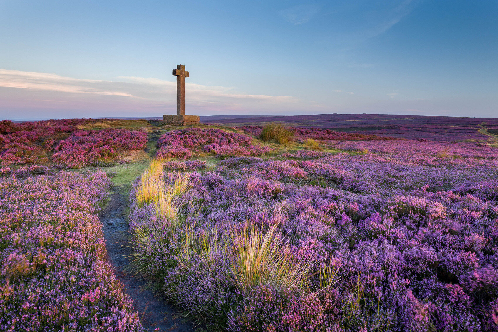 Erica Yorkshire