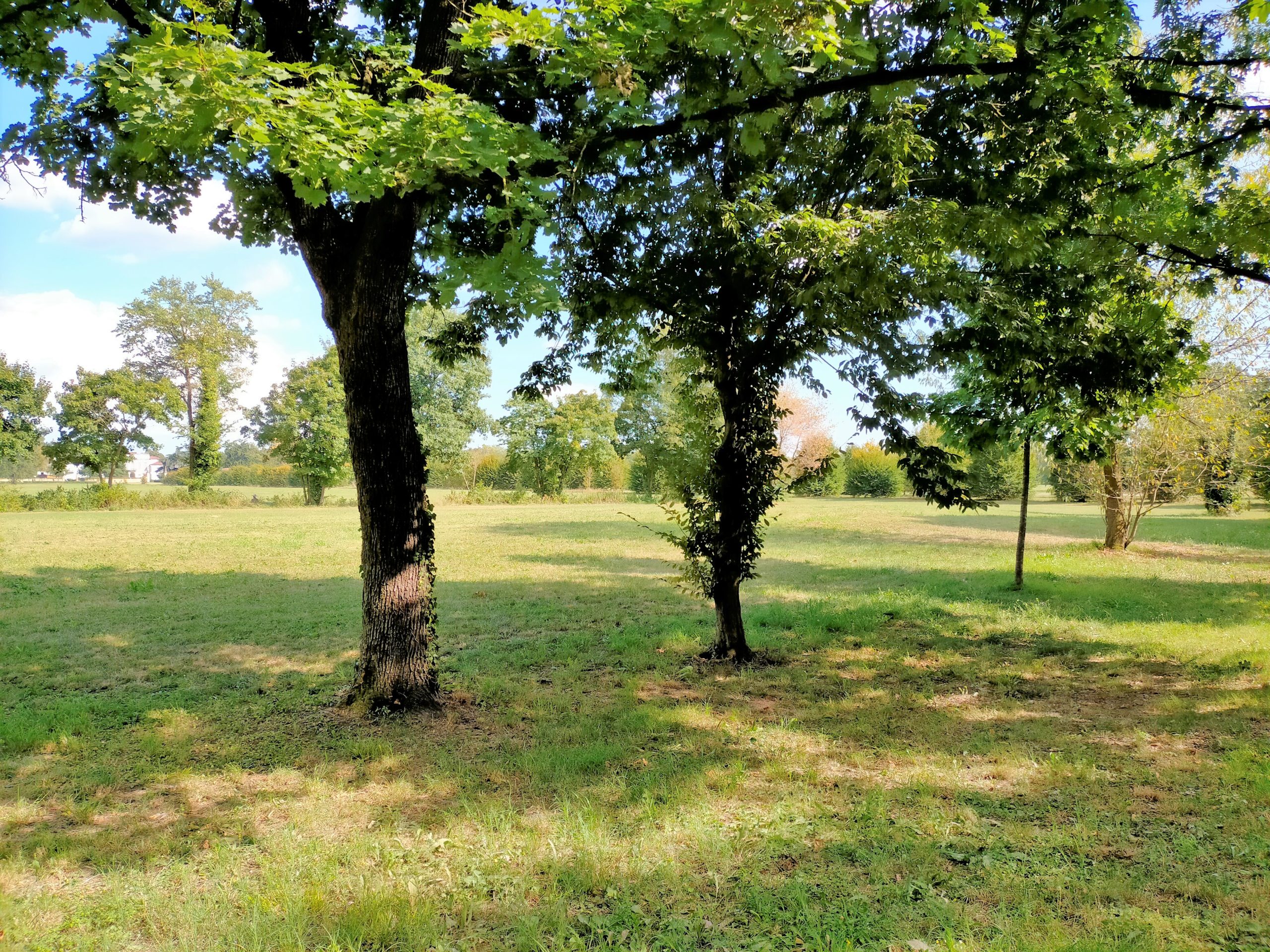 Vedette lombarde al Parco